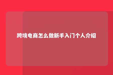 跨境电商怎么做新手入门个人介绍