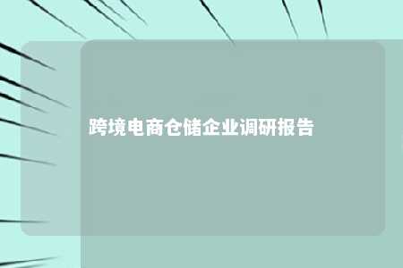 跨境电商仓储企业调研报告